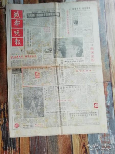 紅色印記 文革時(shí)期書籍報(bào)刊的文獻(xiàn)價(jià)值與歷史反思